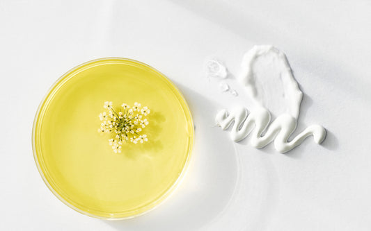 5 Step Korean Skincare Routine from A to Z