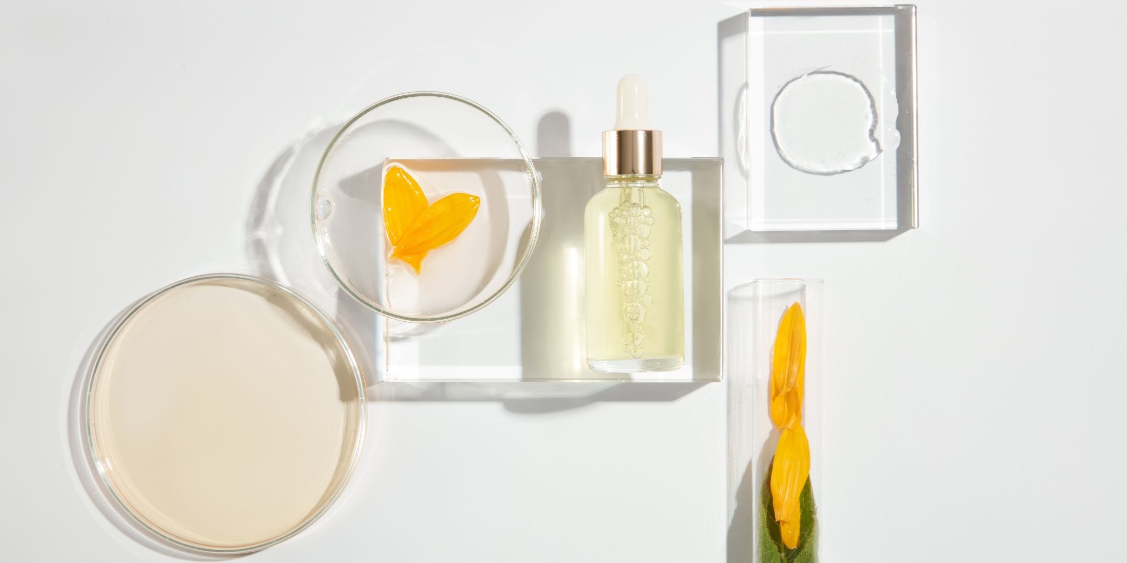 The Best Winter Skincare Ingredients for Healthy, Glowing Skin